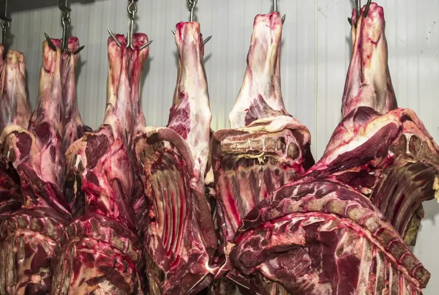 China abre investigação sobre importação de carne bovina