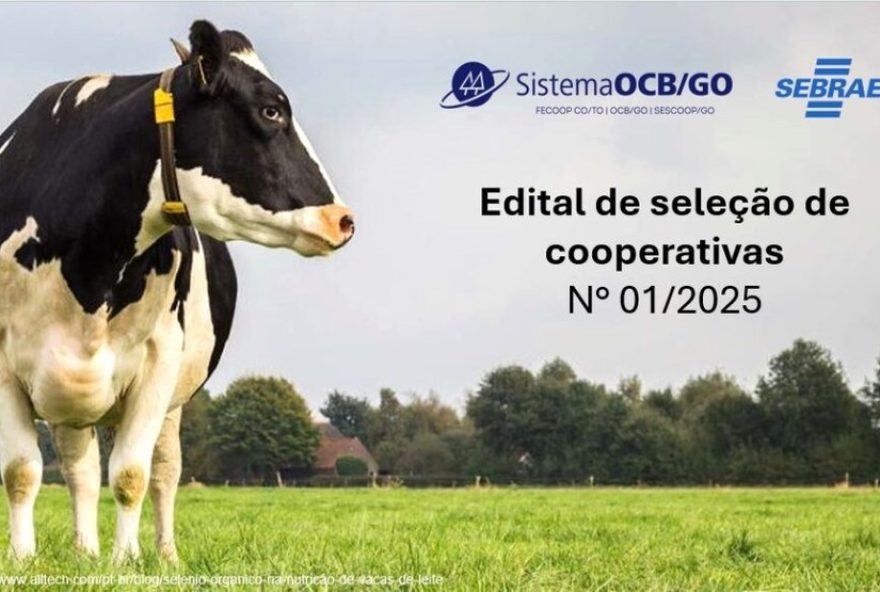 edital-do-sescoop2Fgo-oferece-40-consultorias-para-produtores-de-leite-em-goias