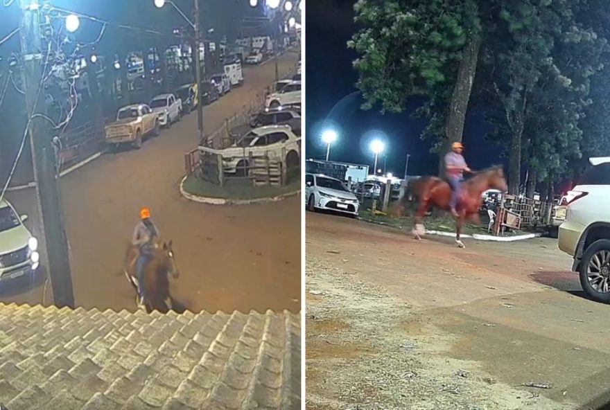egua-da-raca-quarto-de-milha-e-furtada-durante-expoinga-20253A-policia-investiga-o-caso