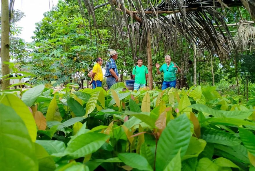 emater-para-abre-pss-com-mais-de-20-vagas-temporarias-no-estado emater-para-abre-pss-com-mais-de-20-vagas-temporarias-no-estado