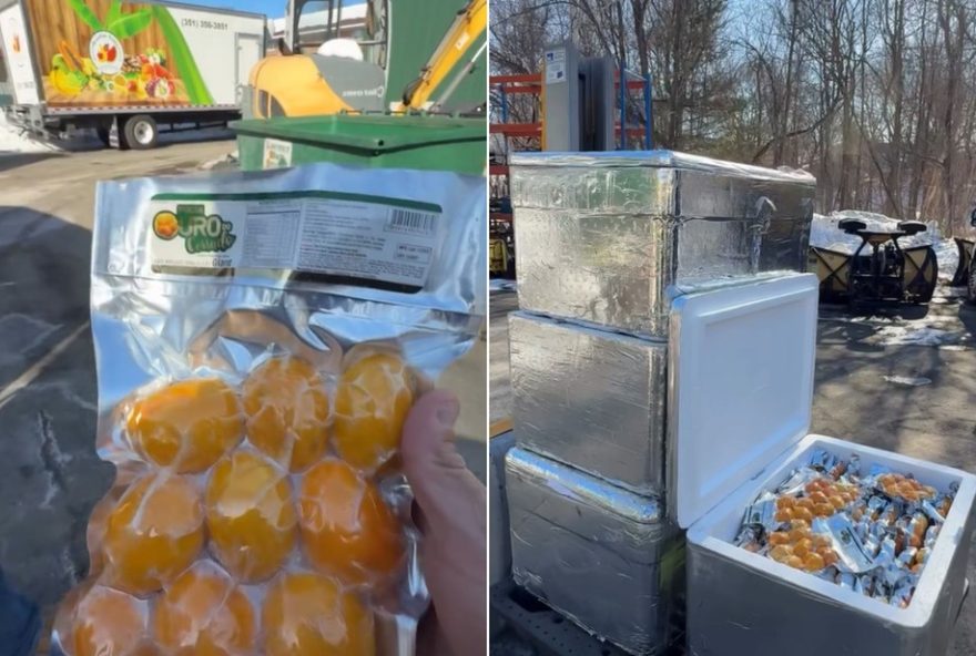 empresario-goiano-de-trindade-faz-sucesso-vendendo-pequi-nos-eua empresario-goiano-de-trindade-faz-sucesso-vendendo-pequi-nos-eua