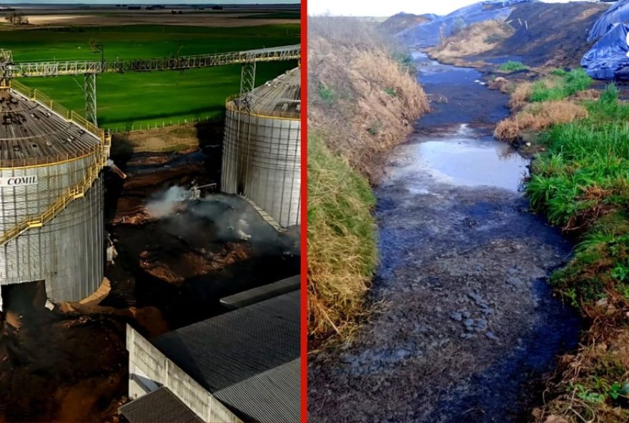 empresario-preso-por-crime-ambiental-apos-incendio-em-silo-no-rs