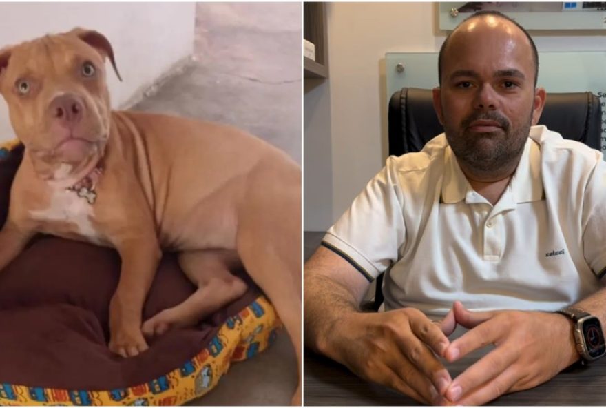 empresario-suspeito-de-atropelar-e-matar-cadela-no-interior-do-ce empresario-suspeito-de-atropelar-e-matar-cadela-no-interior-do-ce