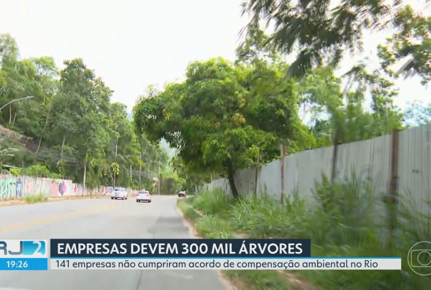 empresas-no-rio-faltam-com-compensacao-de-arvores2C-agravando-calor-na-cidade empresas-no-rio-faltam-com-compensacao-de-arvores2C-agravando-calor-na-cidade