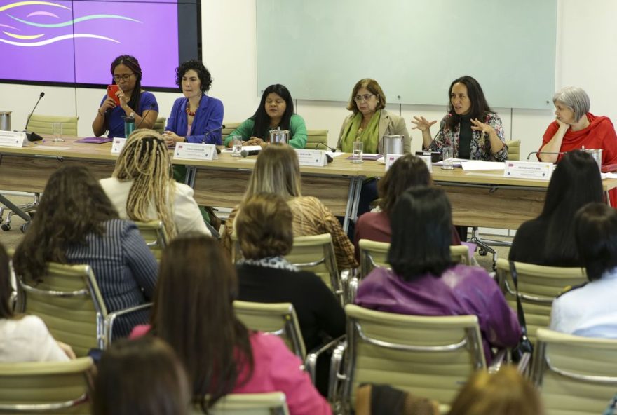 Formas de salvar as vidas e de acolher essas mulheres estão sendo debatidas nesta segunda-feira e terça-feira no 1° Encontro Nacional das Casas da Mulher Brasileira, em Brasília. (Foto: Agência Brasil)