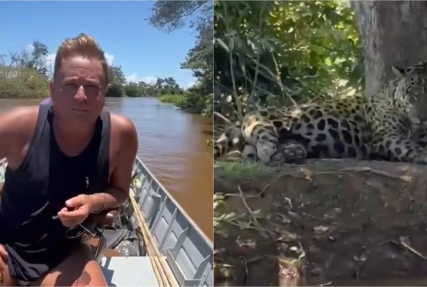 encontro-emocionante-de-leonardo-com-onca-pintada-no-pantanal3A-beleza-selvagem-e-conservacao-em-destaque