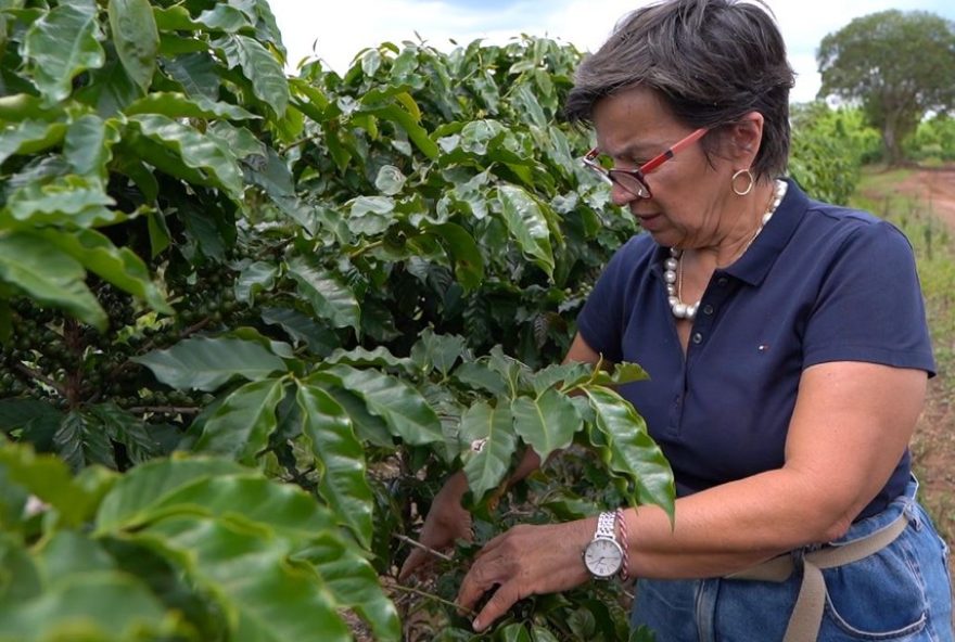 enfermeira-se-torna-cafeicultora-sustentavel-em-franca3A-historia-de-amor-pela-terra