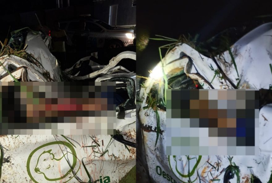 engenheiro-agronomo-morre-em-acidente-ao-perder-controle-do-veiculo-e-colidir-em-arvore-no-sul-do-piaui engenheiro-agronomo-morre-em-acidente-ao-perder-controle-do-veiculo-e-colidir-em-arvore-no-sul-do-piaui