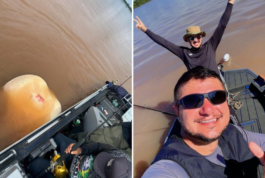 engenheiro-pesca-arraia-de-60-kg-no-rio-araguaia3A-cena-impressiona engenheiro-pesca-arraia-de-60-kg-no-rio-araguaia3A-cena-impressiona