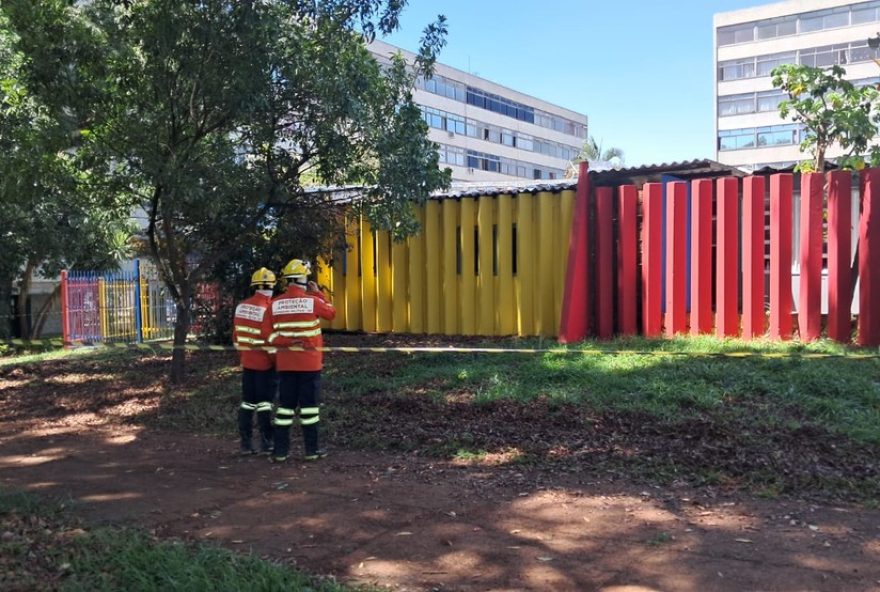 enxame-de-abelhas-ataca-escola-na-asa-sul2C-df2C-apos-rocagem-da-novacap3A-alunos-e-professores-feridos enxame-de-abelhas-ataca-escola-na-asa-sul2C-df2C-apos-rocagem-da-novacap3A-alunos-e-professores-feridos