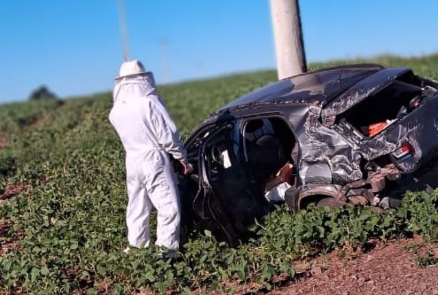 enxame-de-abelhas-causa-acidente-de-transito-em-santa-tecla2C-rs3A-veiculo-capota-e-vitimas-sao-atacadas enxame-de-abelhas-causa-acidente-de-transito-em-santa-tecla2C-rs3A-veiculo-capota-e-vitimas-sao-atacadas