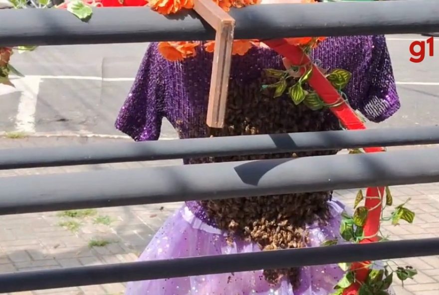 enxame-de-abelhas-toma-conta-de-manequim-em-loja-de-taubate3A-cena-curiosa-viraliza-nas-redes-sociais enxame-de-abelhas-toma-conta-de-manequim-em-loja-de-taubate3A-cena-curiosa-viraliza-nas-redes-sociais