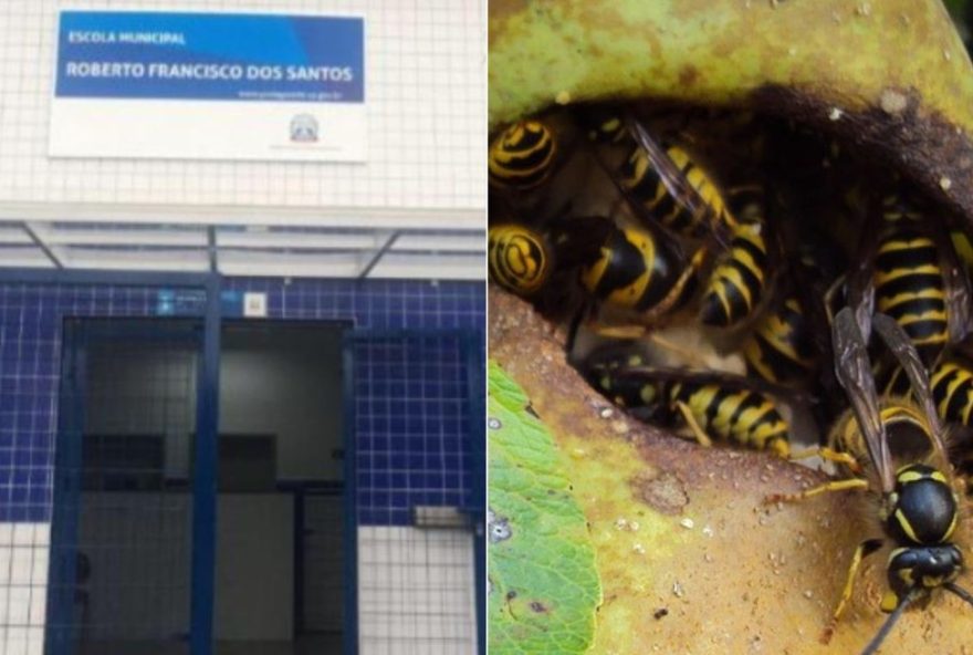 enxame-de-vespas-assusta-alunos-e-bombeiros-evacuam-escola-em-praia-grande2C-sp enxame-de-vespas-assusta-alunos-e-bombeiros-evacuam-escola-em-praia-grande2C-sp