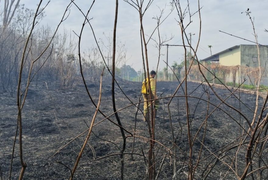 equipes-combatem-incendio-proximo-a-sp-270-em-presidente-prudente3A-acao-conjunta-evita-danos-maiores-e-nao-ha-feridos