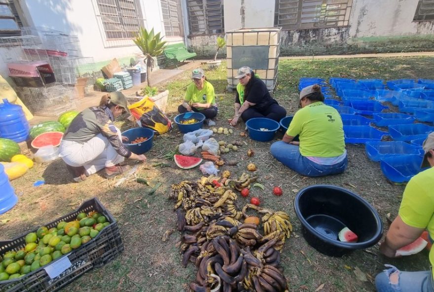 equipes-unidas-por-acao-comovente-na-flona-de-ipanema3A-instalacao-de-comedouros-e-bebedouros-para-animais-atingidos-por-incendio-devastador