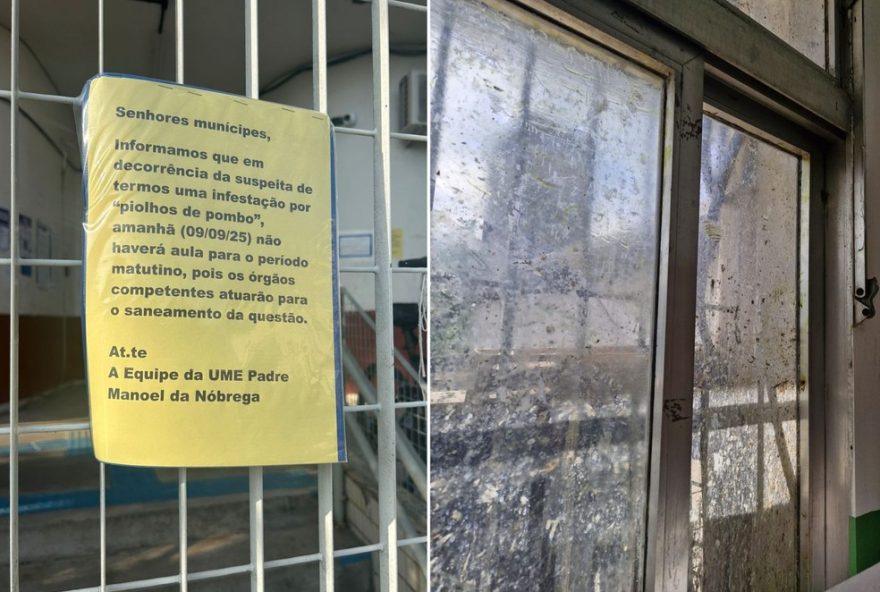 escola-municipal-em-sp-suspende-aulas-devido-a-infestacao-de-acaros-associados-as-aves