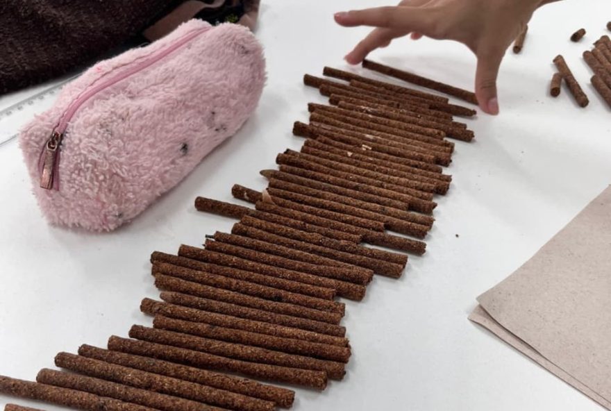 estudantes-da-rede-estadual-criam-lapis-sustentaveis-que-viram-plantas3A-conheca-o-programa-miniempresas-em-pernambuco