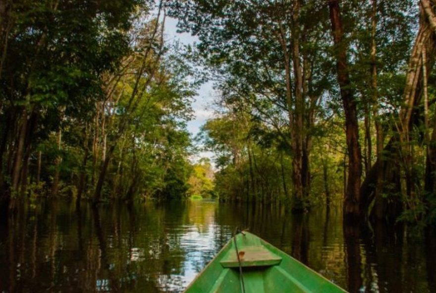 estudo-alerta-para-pressao-sobre-areas-umidas-da-amazonia3A-hidreletricas2C-garimpo-e-desmatamento-ameacam-biodiversidade-e-comunidades-tradicionais estudo-alerta-para-pressao-sobre-areas-umidas-da-amazonia3A-hidreletricas2C-garimpo-e-desmatamento-ameacam-biodiversidade-e-comunidades-tradicionais