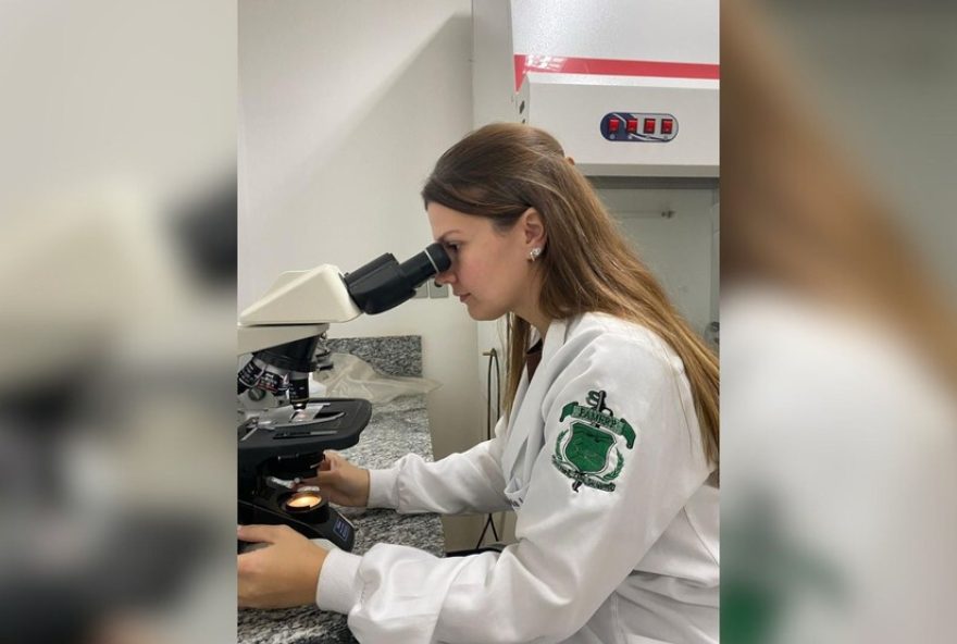 estudo-da-famerp-em-sp-testa-medicamento-para-melhorar-qualidade-de-rins-para-transplante3A-estrategia-inovadora-reconhecida-em-congresso estudo-da-famerp-em-sp-testa-medicamento-para-melhorar-qualidade-de-rins-para-transplante3A-estrategia-inovadora-reconhecida-em-congresso