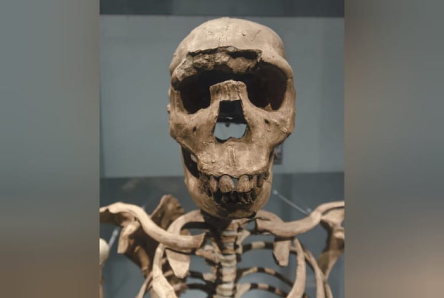 estudo-revela3A-homo-erectus-se-adaptou-para-sobreviver-em-clima-extremo