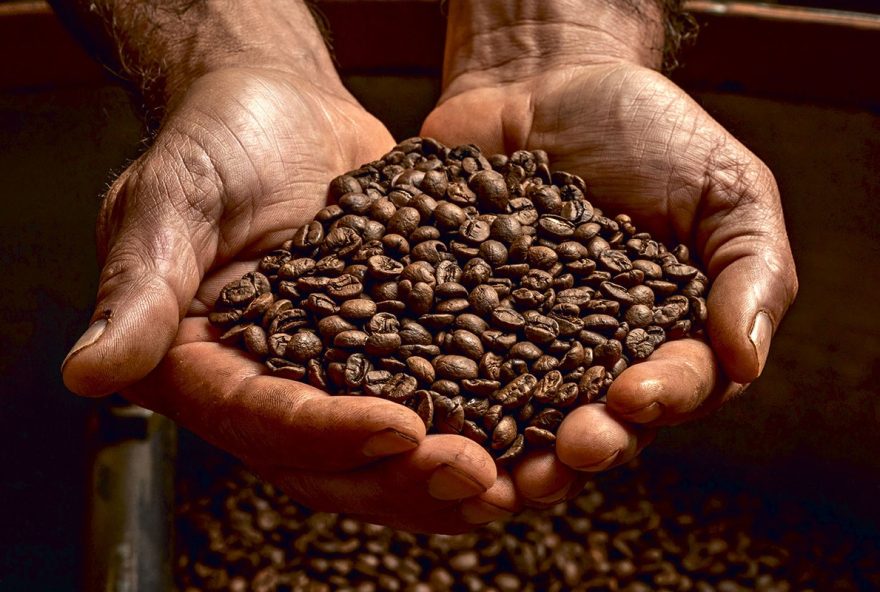 eua-podem-isentar-cafe2C-cacau-e-recursos-naturais-de-tarifas2C-de-acordo-com-secretario-de-trump