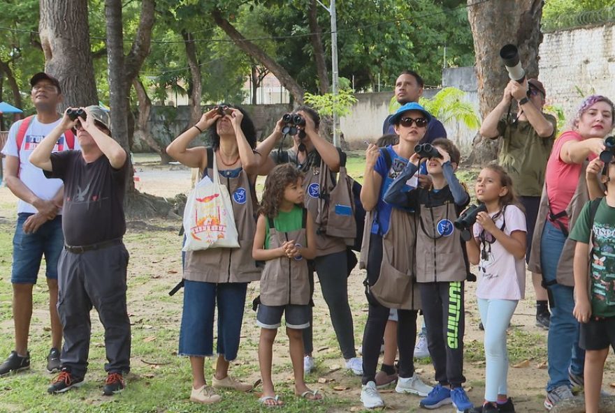 evento-gratuito-de-observacao-de-aves-no-recife-promove-conscientizacao-ambiental