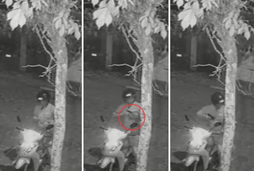 ex-guarda-municipal-condenado-por-matar-cadela-a-tiro-no-litoral-de-sp ex-guarda-municipal-condenado-por-matar-cadela-a-tiro-no-litoral-de-sp