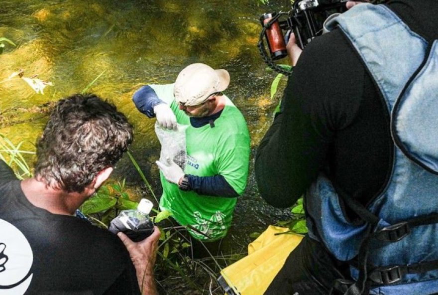 expedicao-cientifica-mapeara-dna-de-especies-apos-tragedia-ambiental-no-rio-piracicaba3A-entenda-o-projeto-inovador