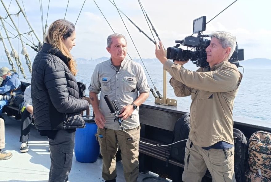 expedicao-pelagica-em-balneario-camboriu-registra-mais-de-20-especies-de-aves-marinhas-em-alto-mar expedicao-pelagica-em-balneario-camboriu-registra-mais-de-20-especies-de-aves-marinhas-em-alto-mar