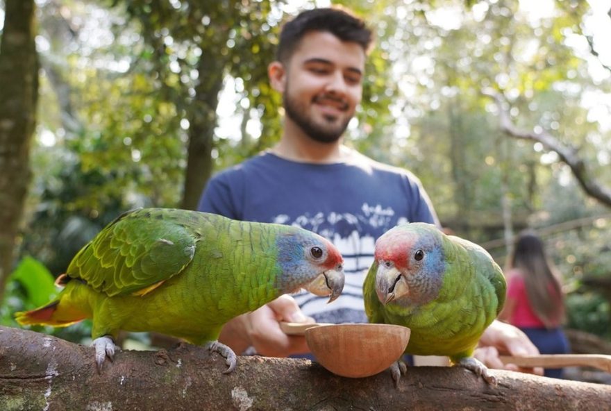 experimente-o-conecta-do-parque-das-aves3A-uma-imersao-unica-na-natureza