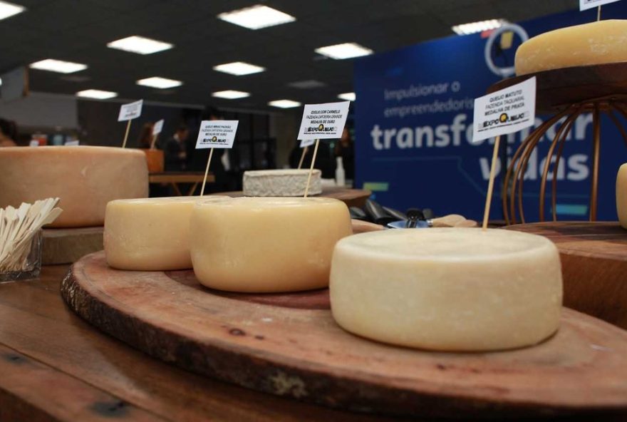 expoqueijo-brasil-20253A-deguste-mil-queijos-artesanais-de-16-paises-em-araxa