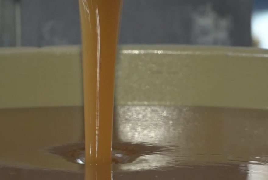 exportacao-de-mel-em-maringa3A-crescimento-mesmo-com-tarifaco-dos-eua exportacao-de-mel-em-maringa3A-crescimento-mesmo-com-tarifaco-dos-eua