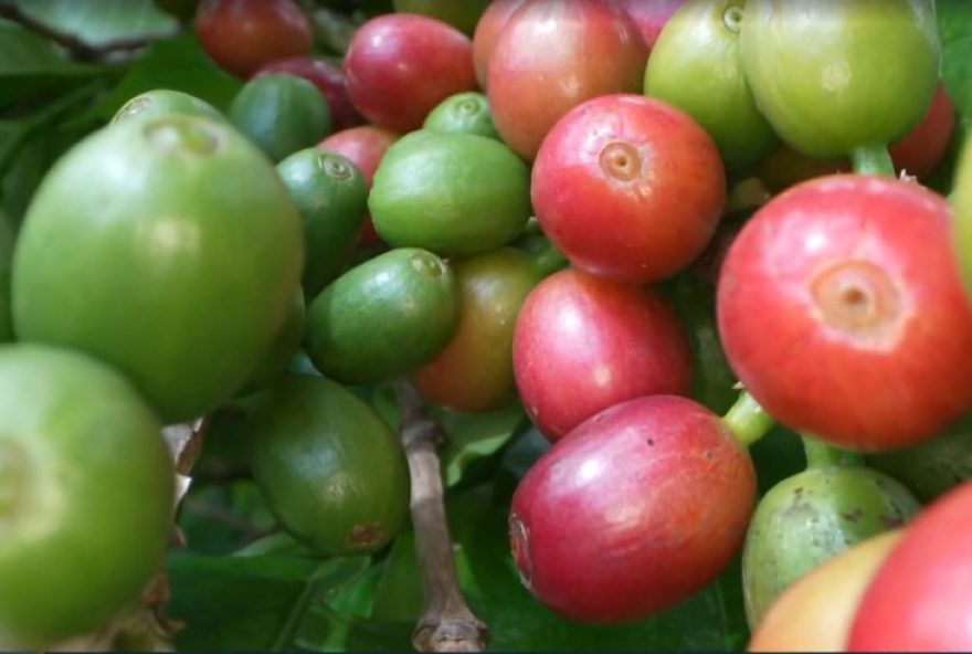 exportacoes-de-mg-batem-recorde-historico-e-somam-r24-234-bi-em-2025 exportacoes-de-mg-batem-recorde-historico-e-somam-r24-234-bi-em-2025