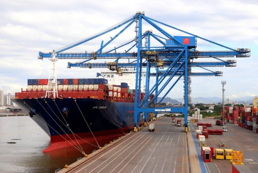 exportacoes-de-sc-para-os-eua-sofrem-queda-de-192C525-em-um-mes3A-setor-de-madeira-e-o-mais-afetado