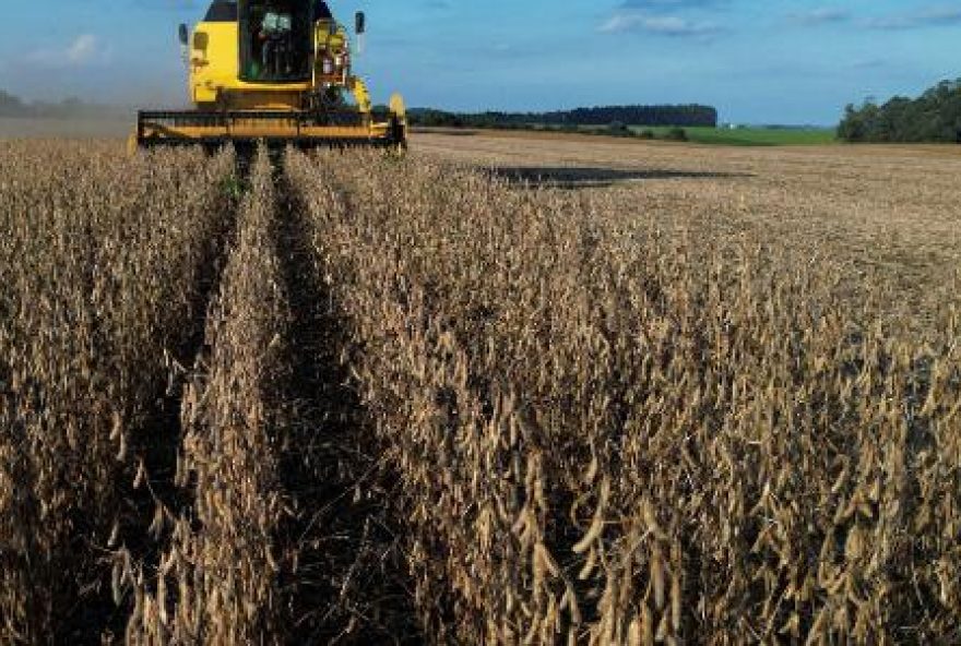 exportacoes-do-agro-crescem-12C425-em-20252C-apesar-do-tarifaco-dos-eua exportacoes-do-agro-crescem-12C425-em-20252C-apesar-do-tarifaco-dos-eua