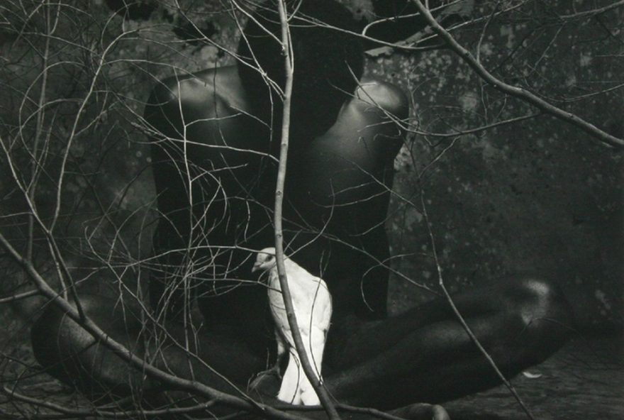 exposicao-em-salvador-destaca-a-historia-da-arte-brasileira3A-mam-ba-apresenta-80-obras-de-artistas-renomados-como-mario-cravo-neto-e-tomie-ohtake exposicao-em-salvador-destaca-a-historia-da-arte-brasileira3A-mam-ba-apresenta-80-obras-de-artistas-renomados-como-mario-cravo-neto-e-tomie-ohtake