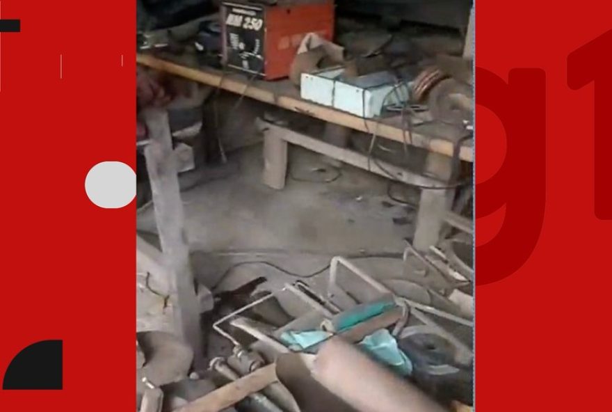 fabrica-ilegal-de-armas-desmantelada-em-coelho-neto3A-suspeito-preso-e-arsenal-apreendido-pela-pmma.-colaboracao-da-populacao-e-fundamental-no-combate-ao-crime fabrica-ilegal-de-armas-desmantelada-em-coelho-neto3A-suspeito-preso-e-arsenal-apreendido-pela-pmma.-colaboracao-da-populacao-e-fundamental-no-combate-ao-crime