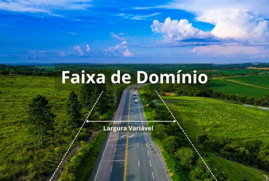 faixas-de-dominio-em-rodovias-do-parana-liberadas-para-plantio-de-culturas-baixas