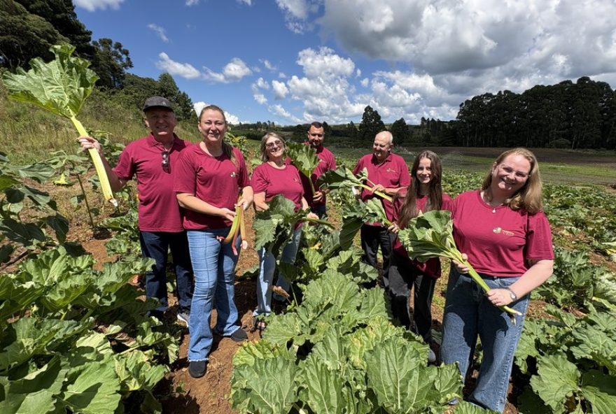 familia-brasileira-investe-em-ruibarbo3A-da-horta-a-alta-gastronomia familia-brasileira-investe-em-ruibarbo3A-da-horta-a-alta-gastronomia
