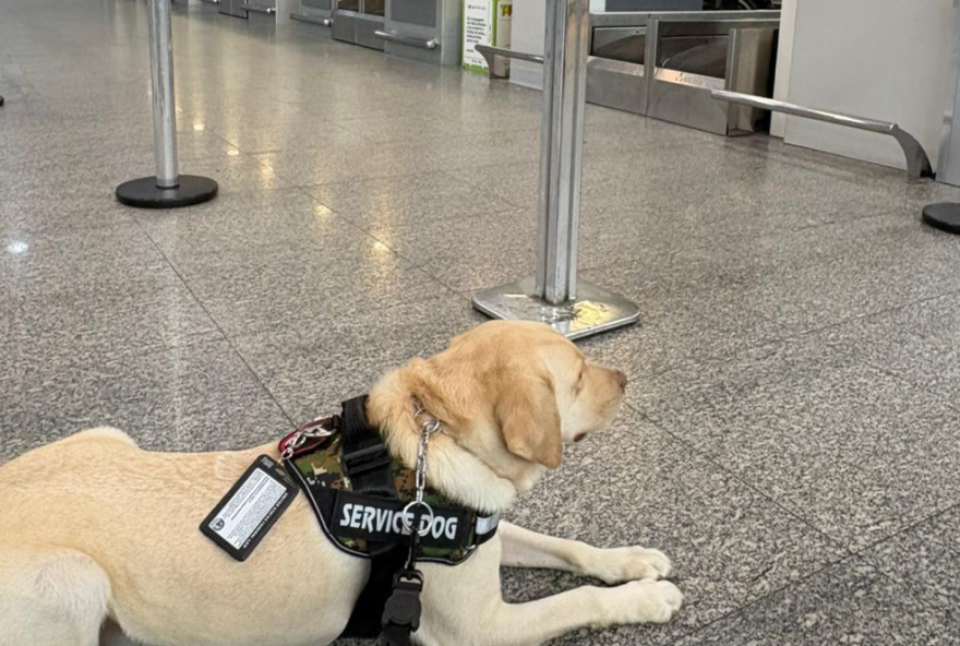 familia-e-impedida-de-embarcar-com-cao-de-servico-em-voo-para-portugal-e-crianca-autista-sofre-sem-o-animal-de-suporte