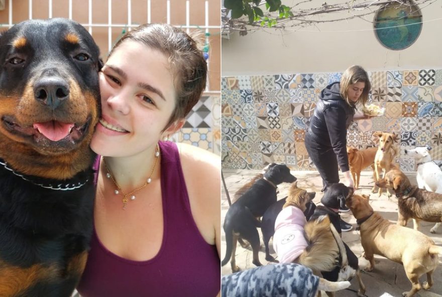 familia-moraes3A-apos-a-morte-de-alice2C-24-caes-determinam-uma-nova-rotina-de-amor-e-cuidado familia-moraes3A-apos-a-morte-de-alice2C-24-caes-determinam-uma-nova-rotina-de-amor-e-cuidado