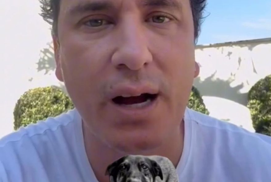 famosos-pedem-justica-por-orelha2C-cao-comunitario-agredido-em-florianopolis3A-rafael-portugal2C-ana-castela-e-mais-exigem-acoes-das-autoridades famosos-pedem-justica-por-orelha2C-cao-comunitario-agredido-em-florianopolis3A-rafael-portugal2C-ana-castela-e-mais-exigem-acoes-das-autoridades