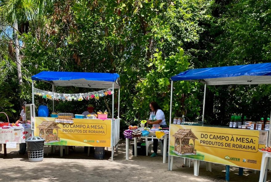 feira-de-agricultores3A-produtos-regionais-e-artesanato-em-boa-vista