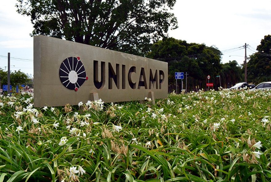 feira-de-carreiras-da-unicamp-black-network3A-networking-para-jovens-negros-no-mercado-de-trabalho