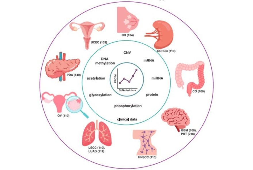ferramenta-com-inteligencia-artificial-da-usp-preve-agressividade-do-cancer