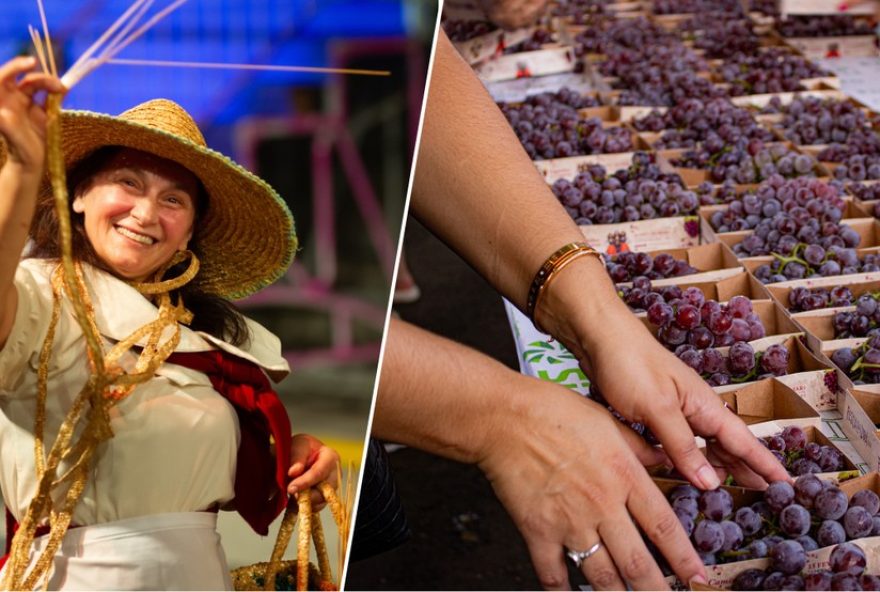 festa-da-uva-20263A-novidades-e-atracoes-imperdiveis-em-caxias-do-sul festa-da-uva-20263A-novidades-e-atracoes-imperdiveis-em-caxias-do-sul