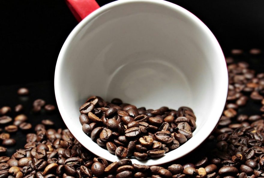 festival-baiano-de-cafes-20253A-ingressos-a-venda-para-evento-sobre-o-futuro-do-cafe-em-salvador