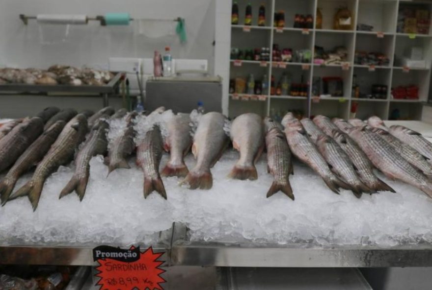 festival-da-tainha-em-santos3A-quilo-a-r24-112C99-no-mercado-de-peixes