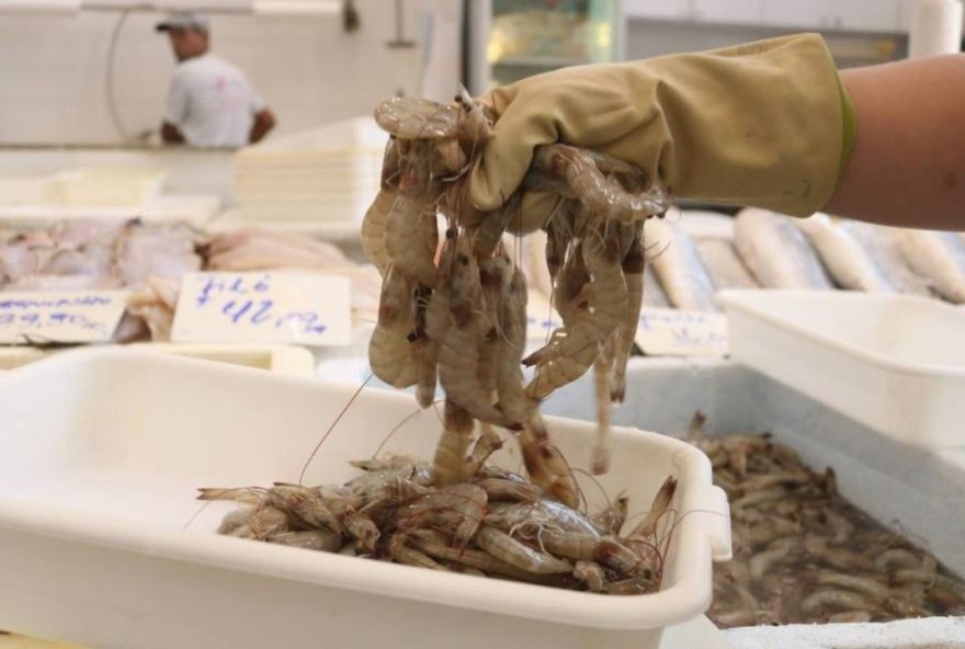 festival-do-camarao-cinza-em-santos3A-descontos-de-ate-2025-no-mercado-de-peixes