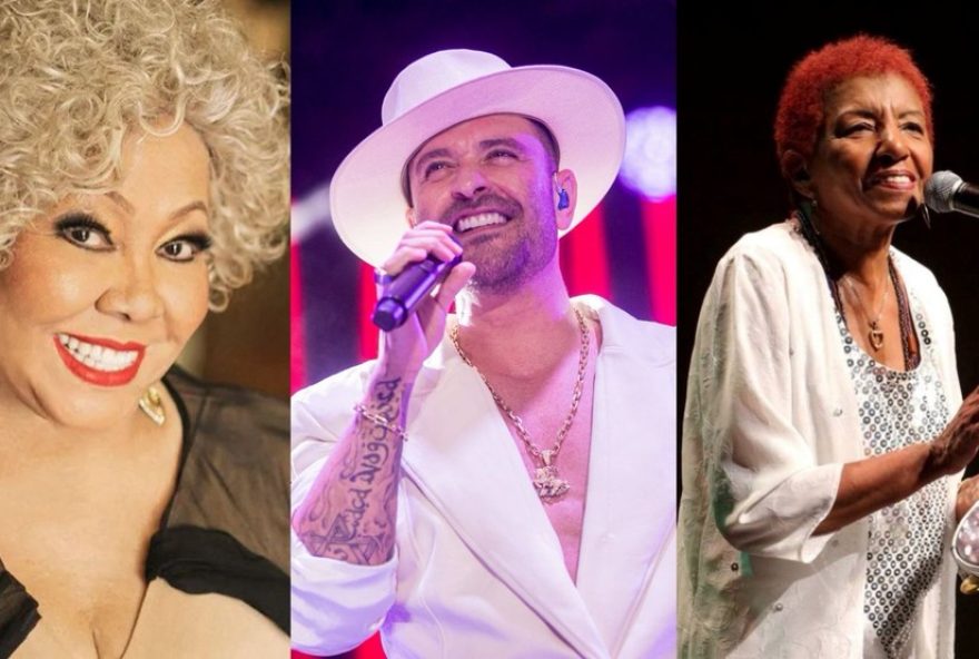 fim-de-semana-agitado-em-brasilia3A-festival-na-praia2C-shows-de-alcione2C-wesley-safadao2C-vintage-culture-e-mais-confira
